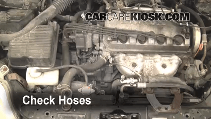 How to Add Coolant: Honda Civic (1996-2000) - 1997 Honda Civic LX 1.6L